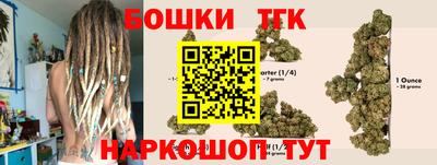 гашик Кимры
