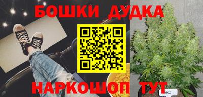 гашик Кимры